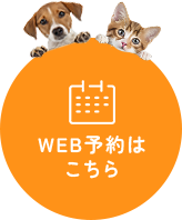 WEB